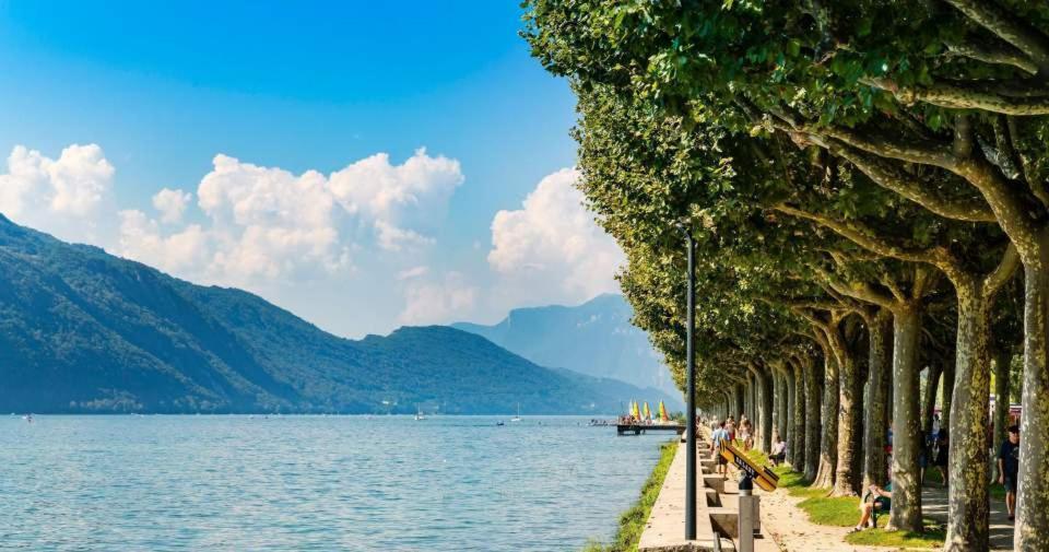 Le Beau Site Grand - Lovely Heritage Cocoon Park * Aix-les-Bains
